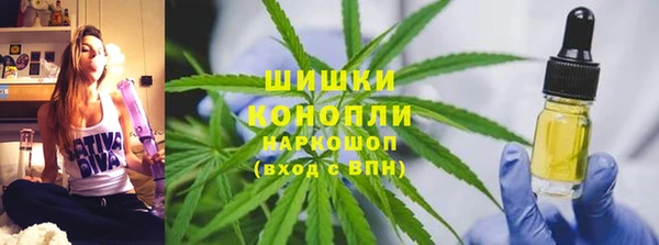 индика Верхний Тагил