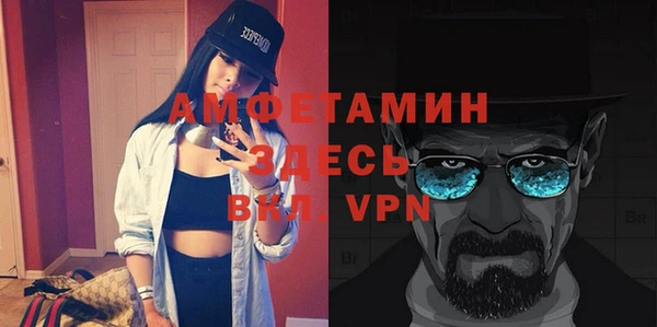 индика Верхний Тагил