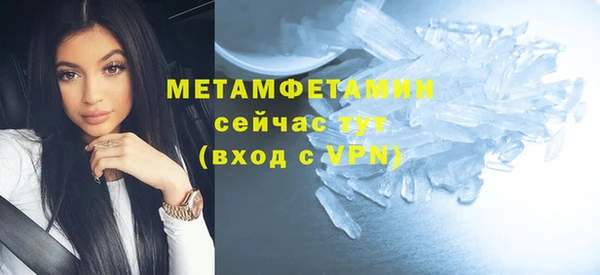 индика Верхний Тагил