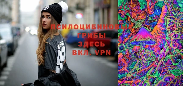 индика Верхний Тагил