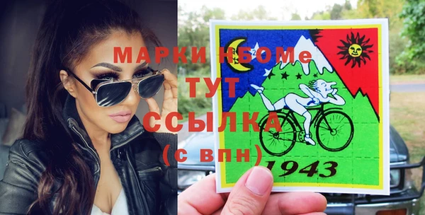 индика Верхний Тагил