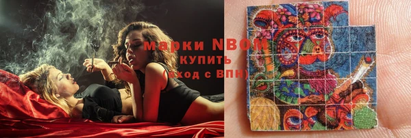 индика Верхний Тагил