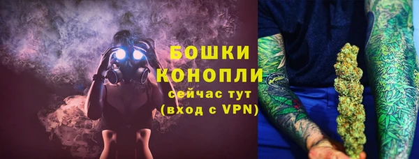 индика Верхний Тагил
