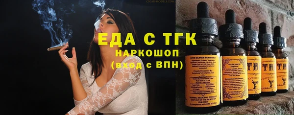 индика Верхний Тагил